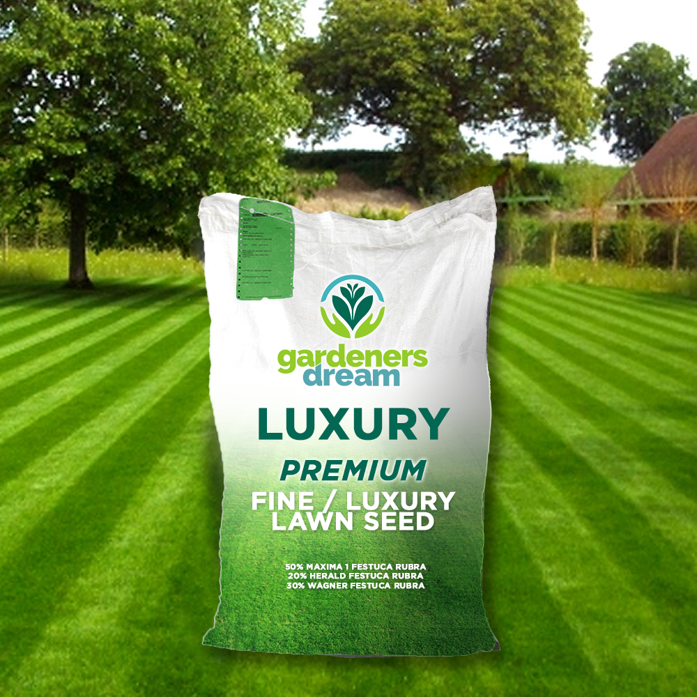 Fine Lawn Seed (Master)