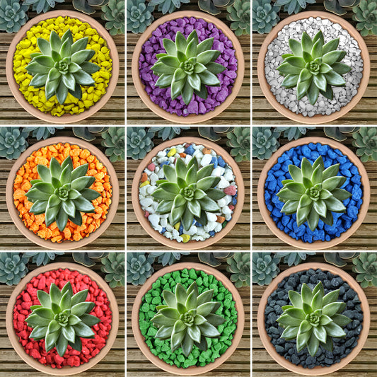 GardenersDream Coloured Plant Pot Gravel (Bag)