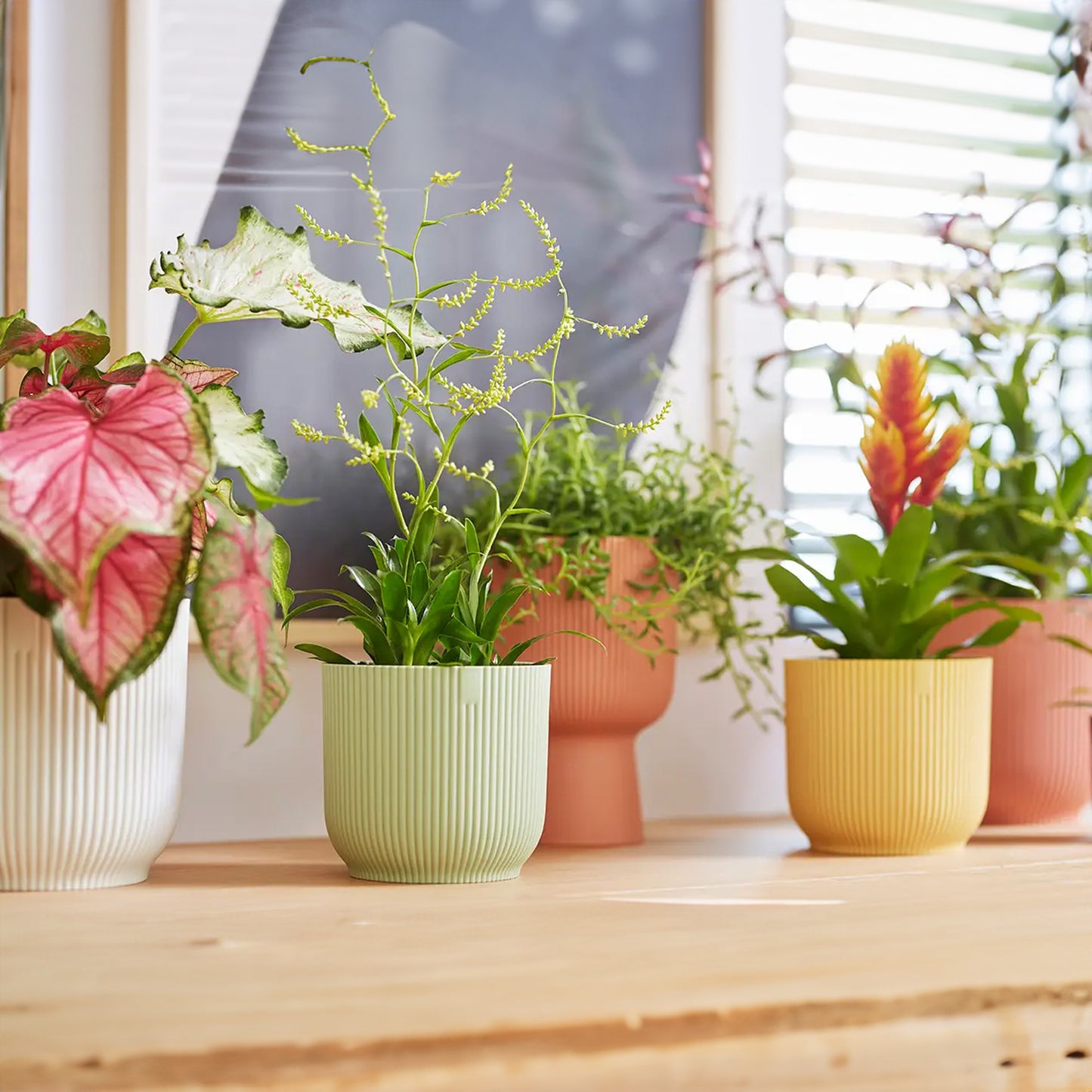 Elho Vibes Fold Round Pot (Sorbet Green)