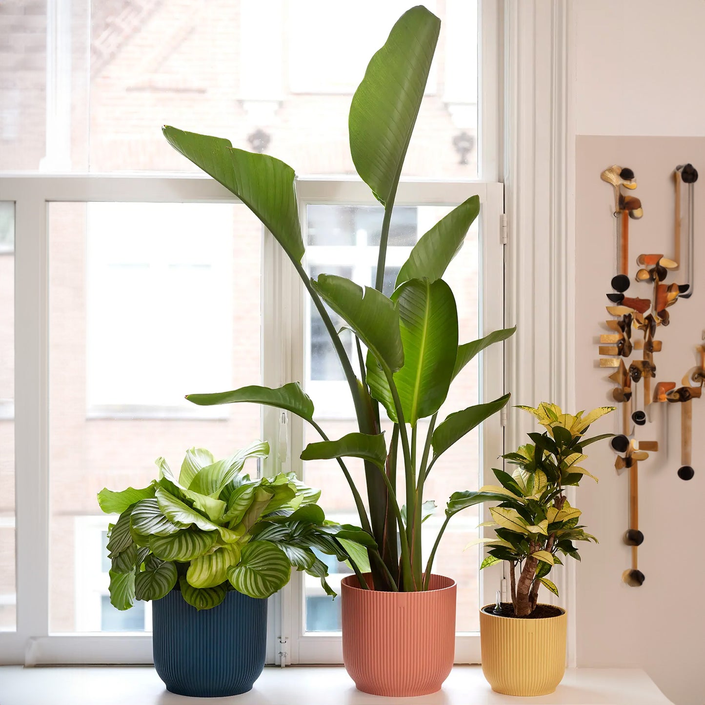 Elho Vibes Fold Round Pot (Butter Yellow)