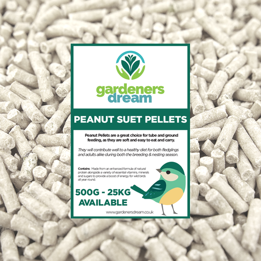 GardenersDream Peanut Suet Pellets