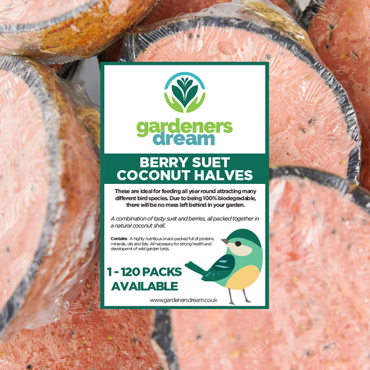 GardenersDream Berry Suet Filled Coconut Halves