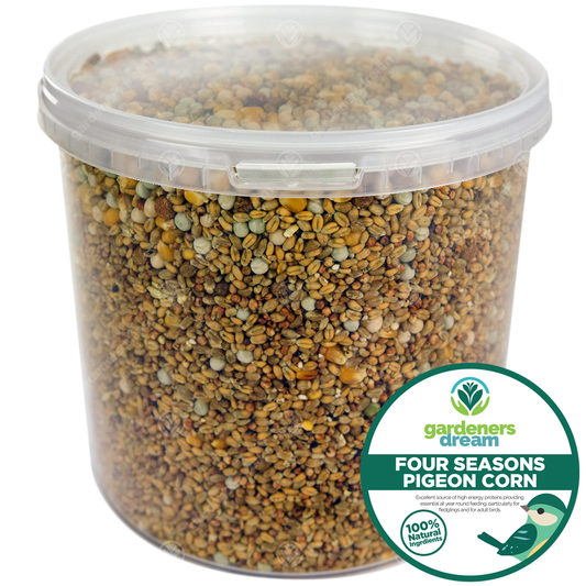 GardenersDream Four Seasons Pigeon Corn