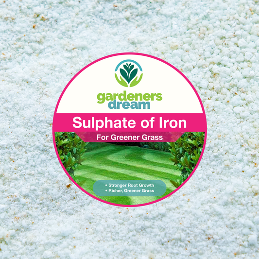 -MASTER- Sulphate of Iron