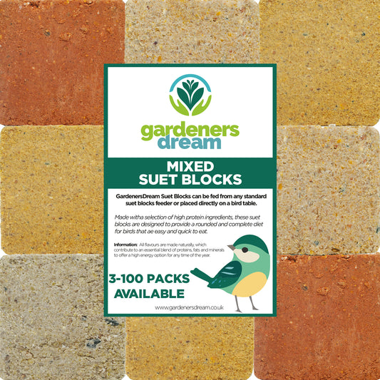 GardenersDream Suet Blocks