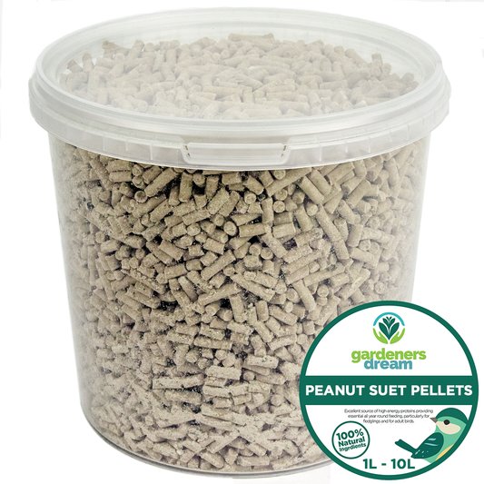 GardenersDream Peanut Suet Pellets