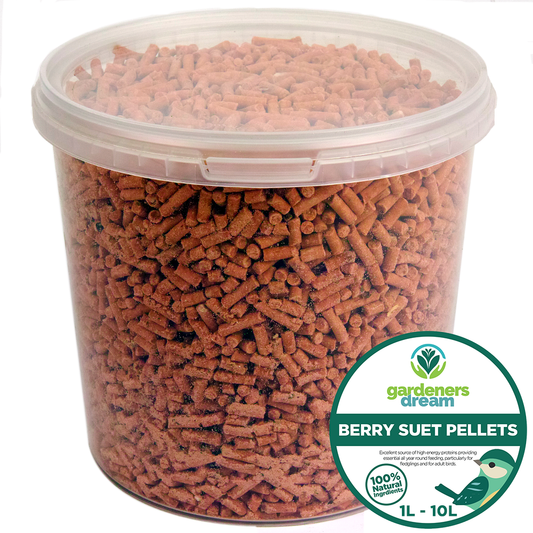 GardenersDream Berry Suet Pellets