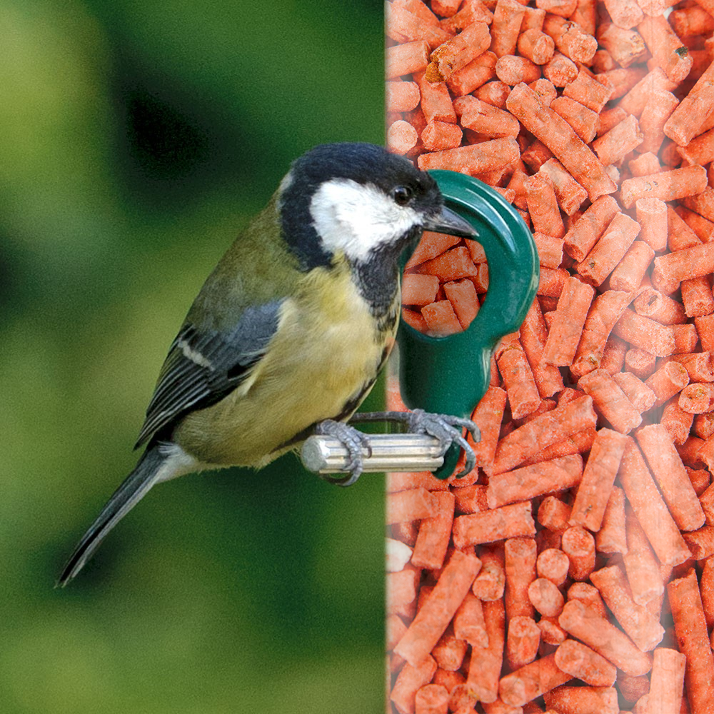 GardenersDream Berry Suet Pellets