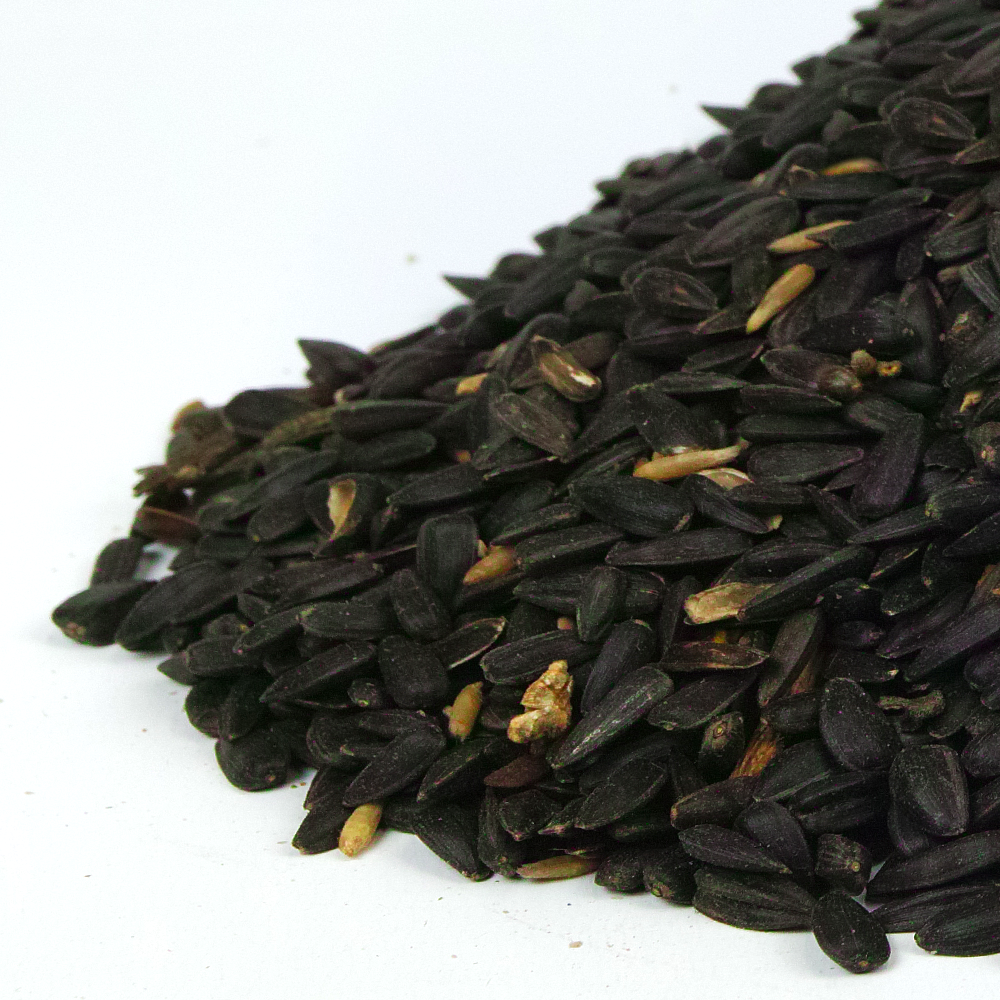 GardenersDream Black Oil Sunflower Seeds