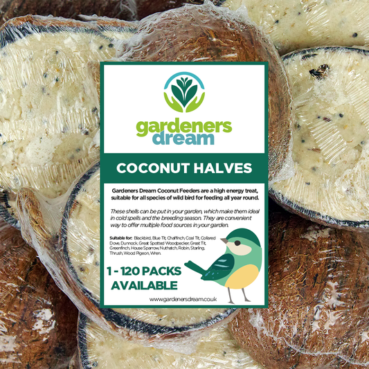 GardenersDream Suet Filled Coconut Halves