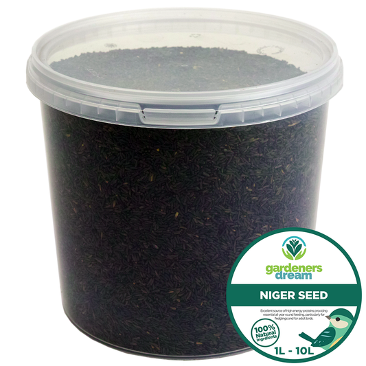 GardenersDream Niger Seeds
