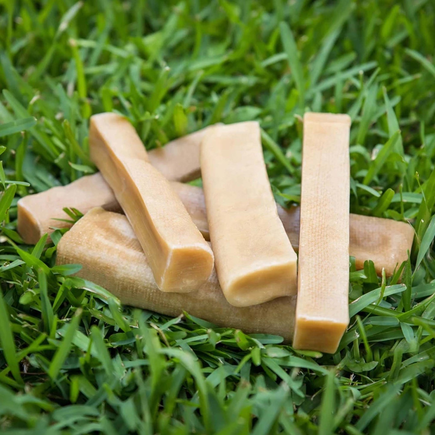 Himalayan Churpi Dog Chew 150g (Master)