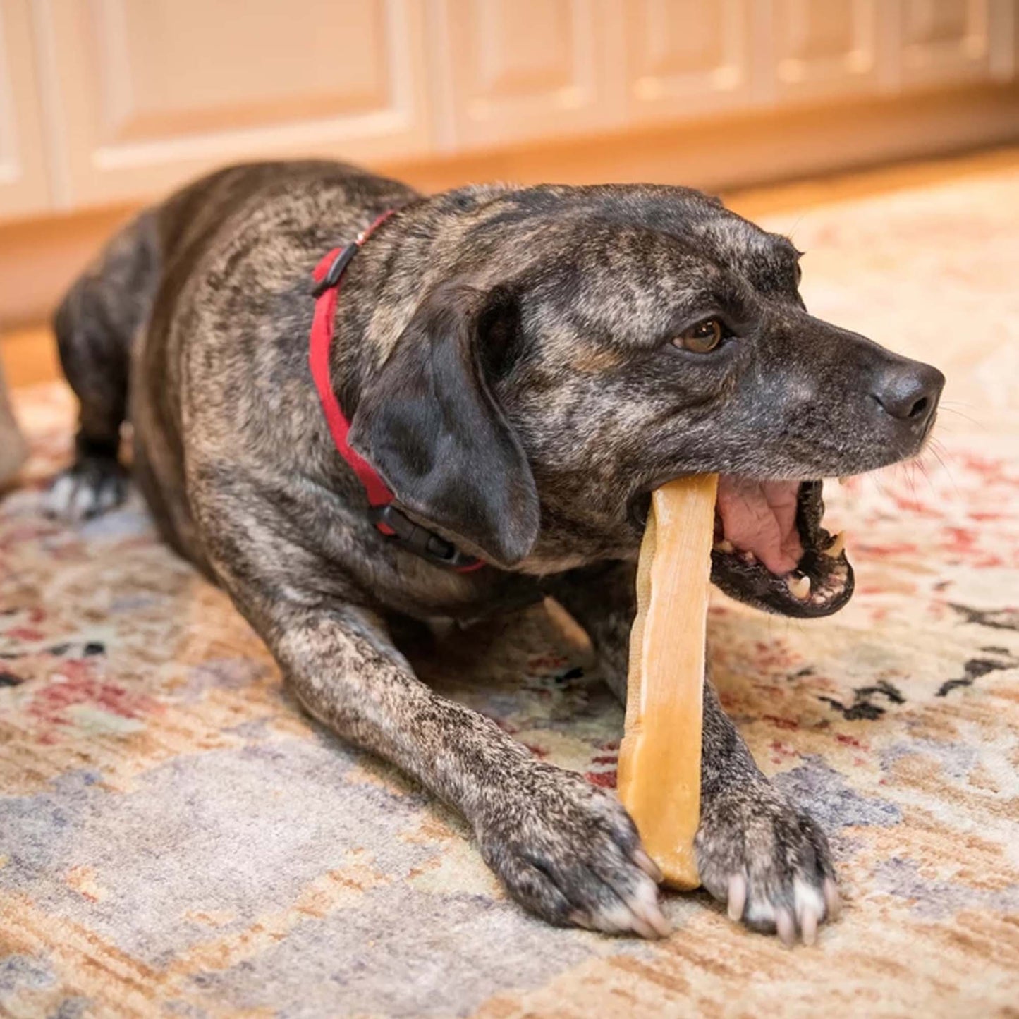 Himalayan Churpi Dog Chew 150g (Master)
