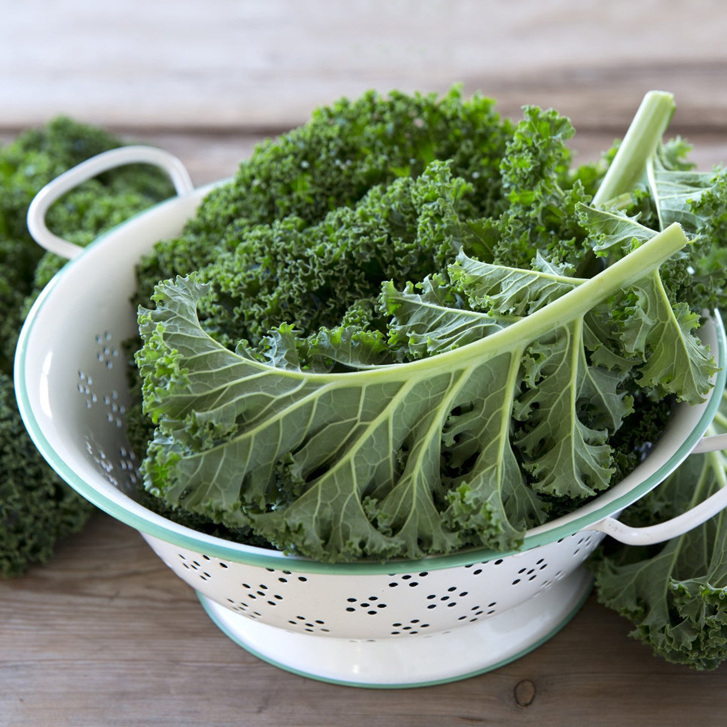 Vegetable - Kale