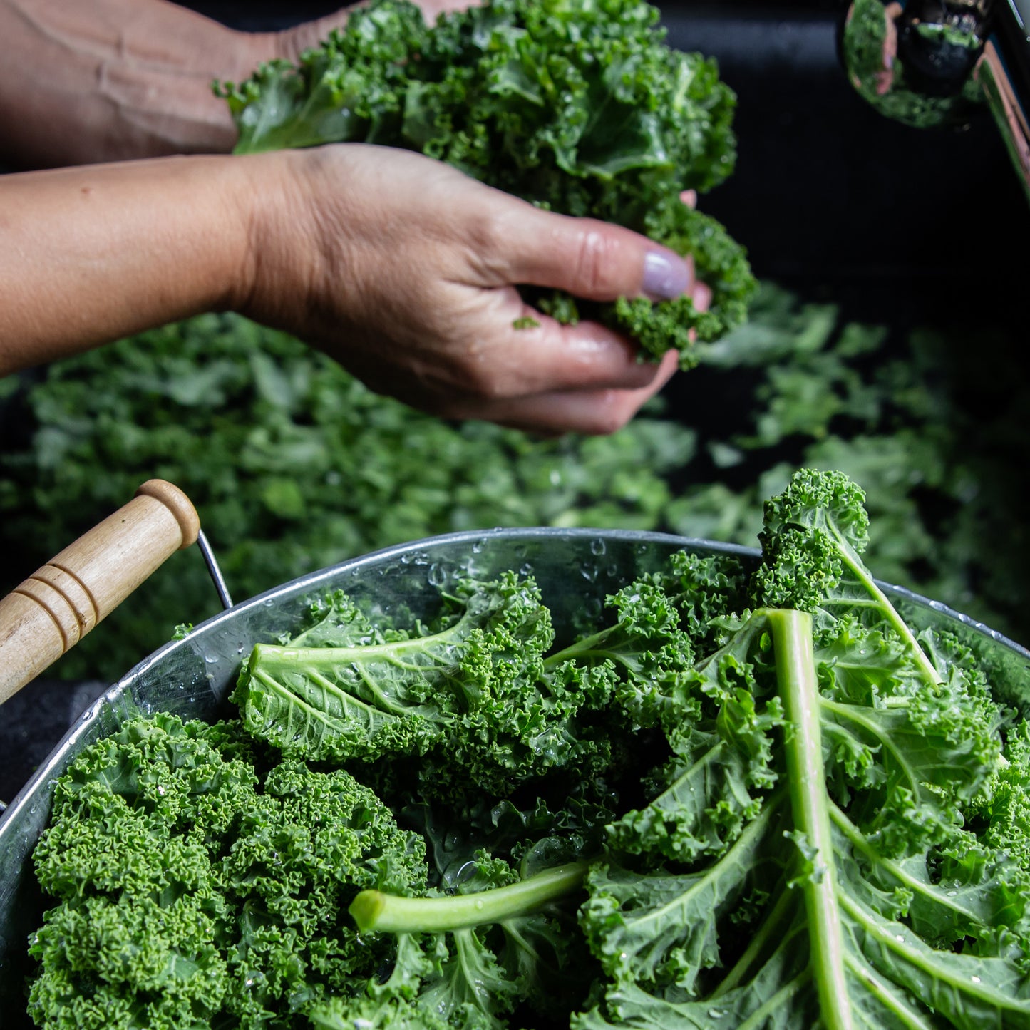 Vegetable - Kale