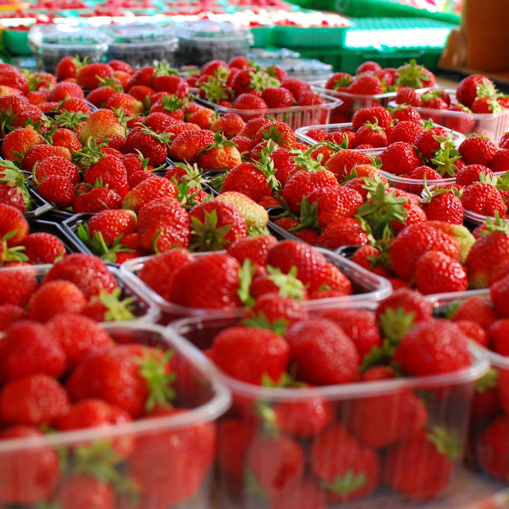 Strawberry Korona (Bare Root, 5-25 Plants)