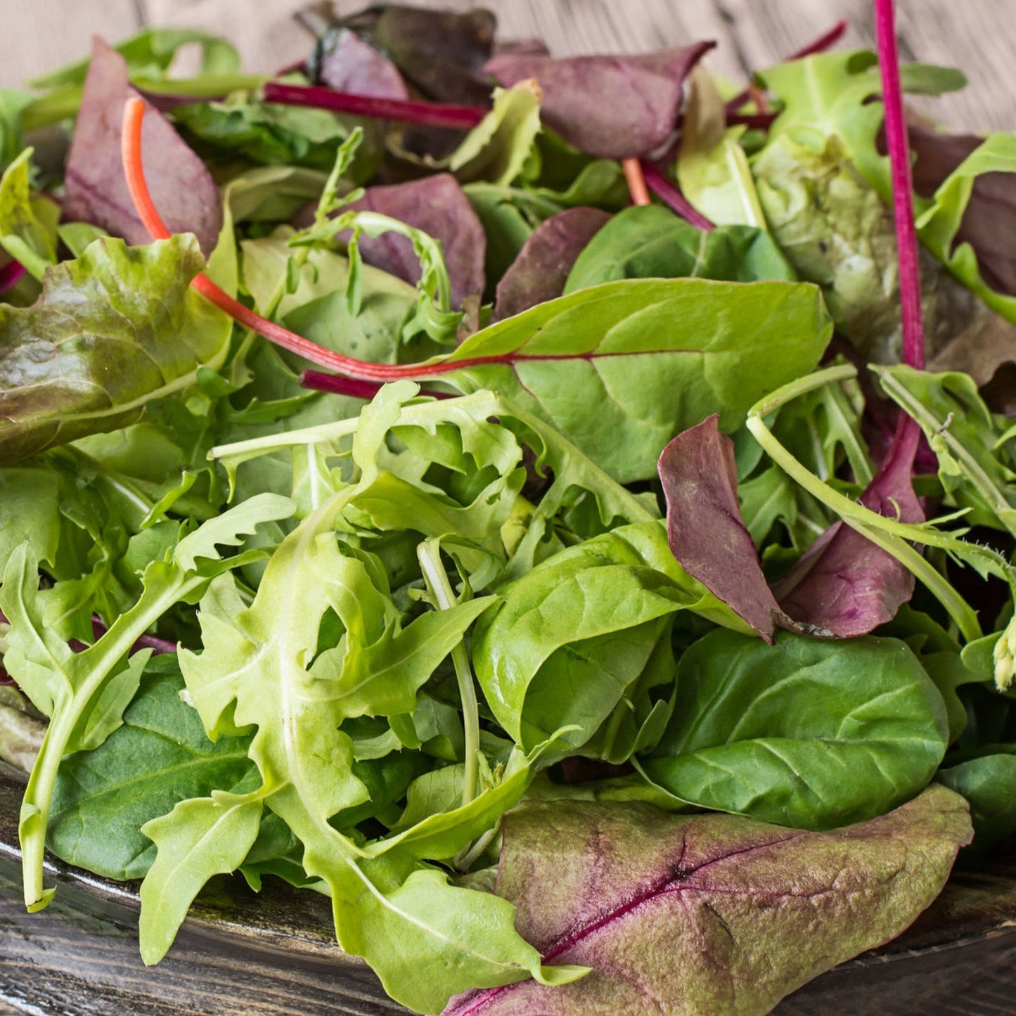 Vegetable - Lettuce Baby Leaf Salad