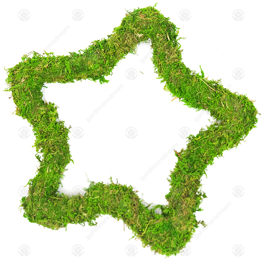 GardenersDream Padded Moss Effect Stars