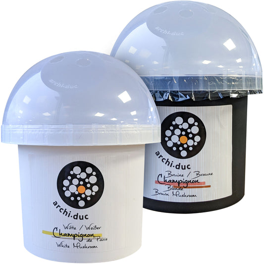 Grow Your Own Mushrooms Kit