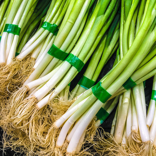 Vegetable - Onion Spring Onion