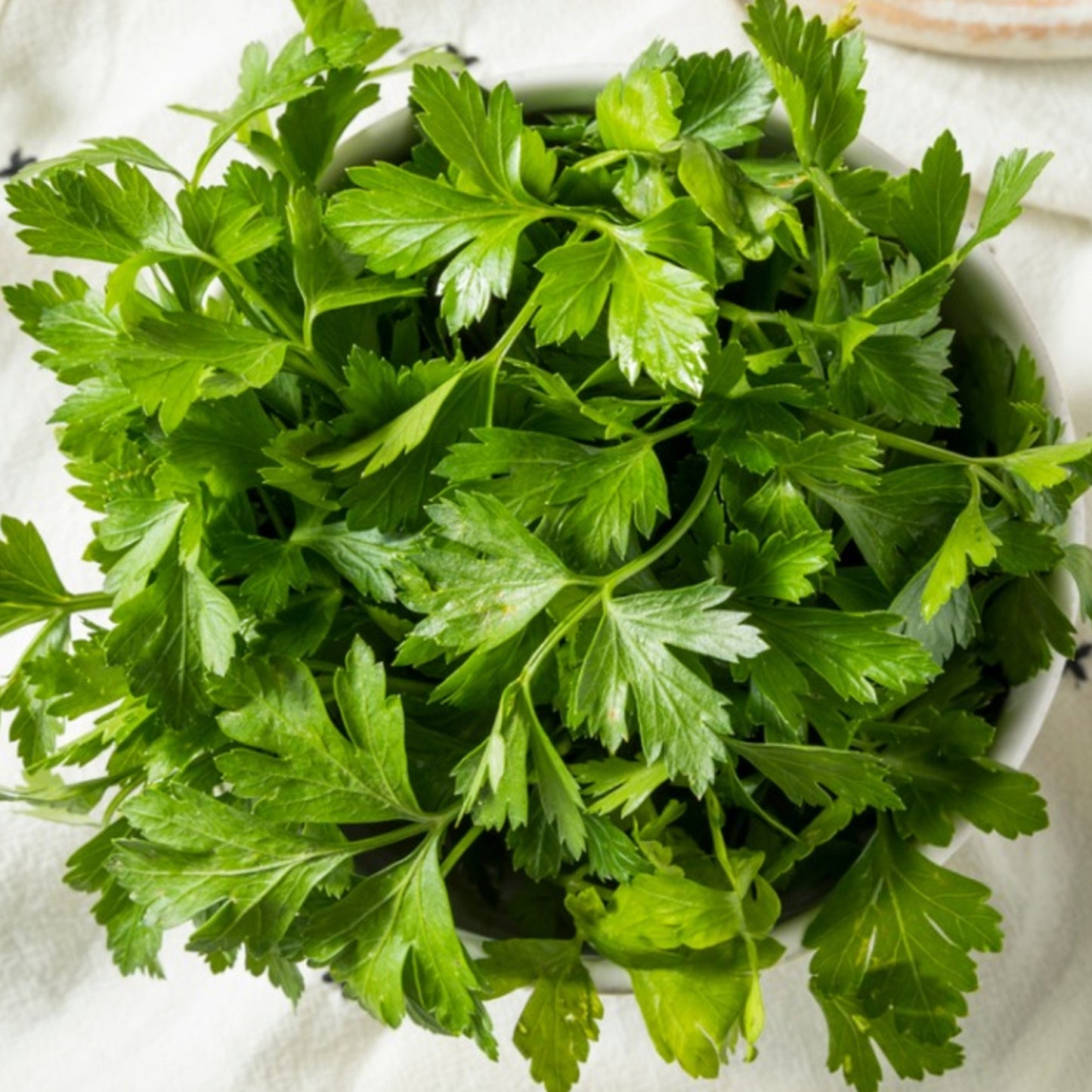 Vegetable - Parsley Flat Leaf