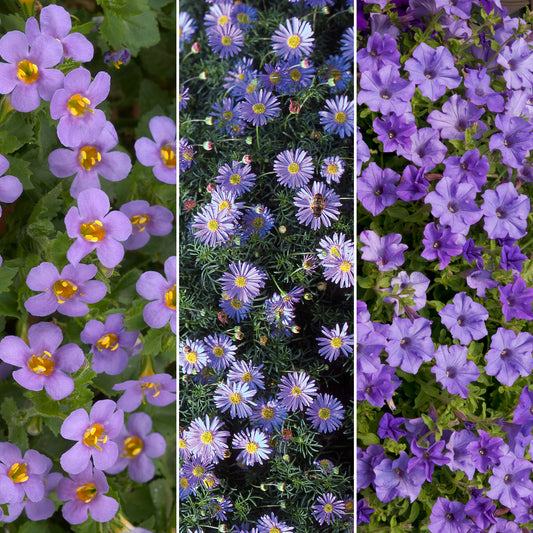 Plug Mix - Blue Shades