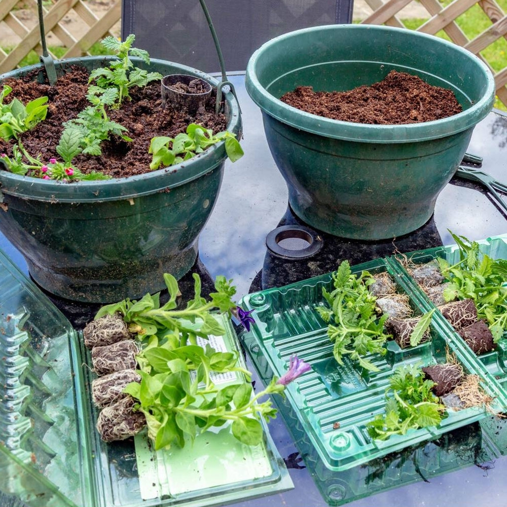 Plug Mix - Blue and White