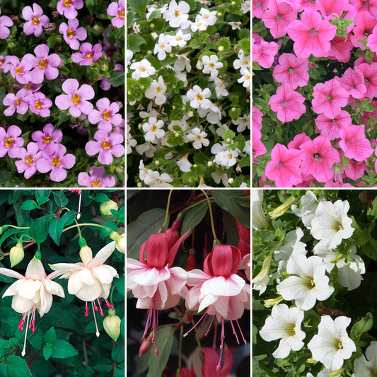 Plug Mix - Pink and White