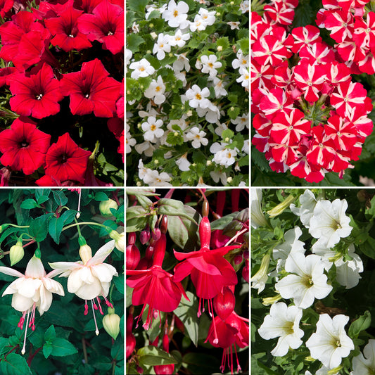 Plug Mix - Red and White