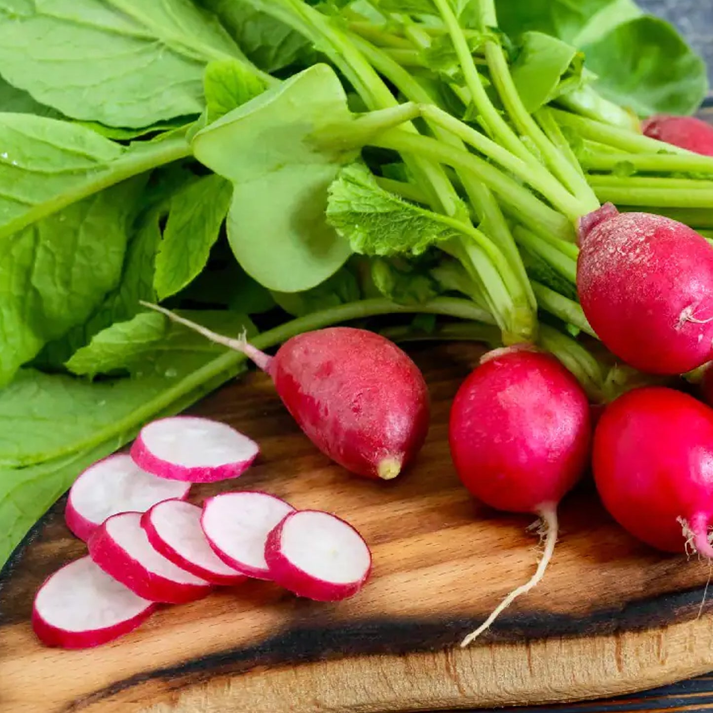 Vegetable - Radish