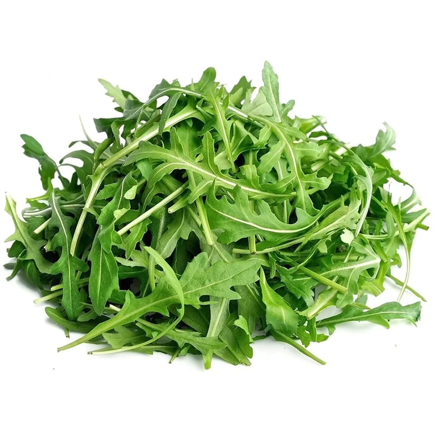 Herb - Rocket Wild