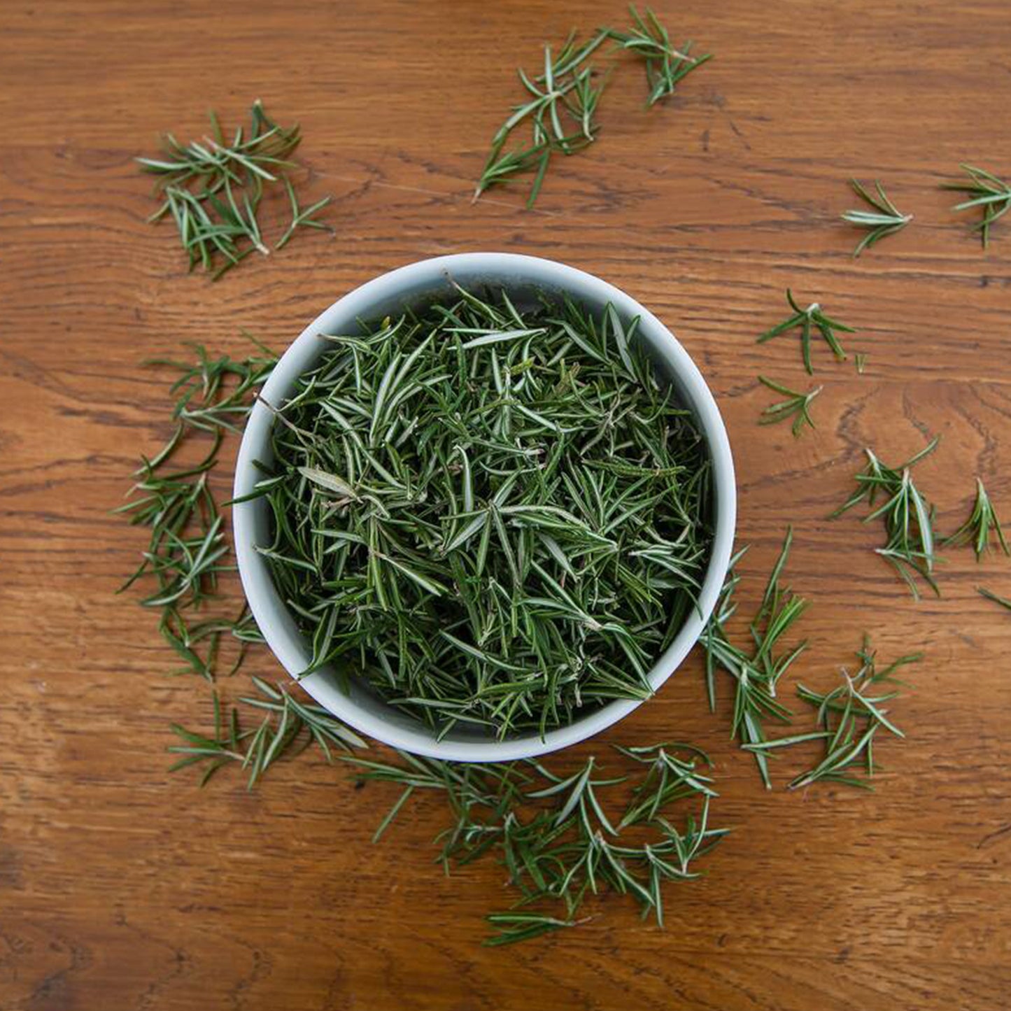 Herb - Rosemary (Standard)