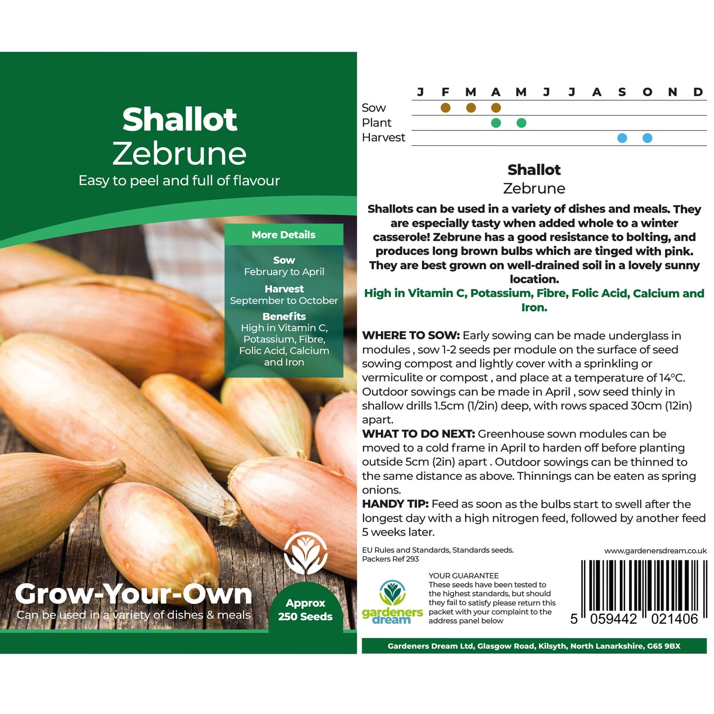 Shallot Seeds - Grow your Own