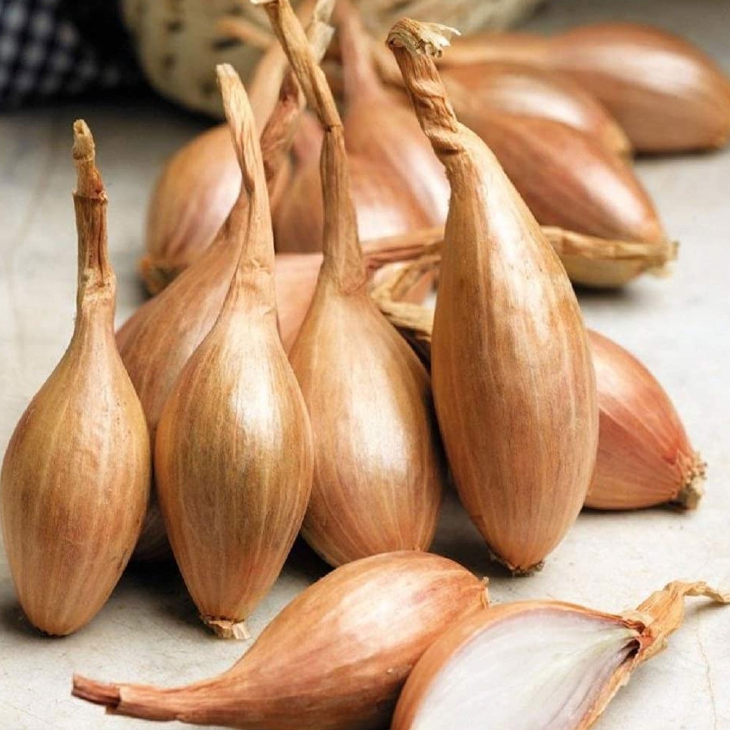 Shallot Seeds - Grow your Own