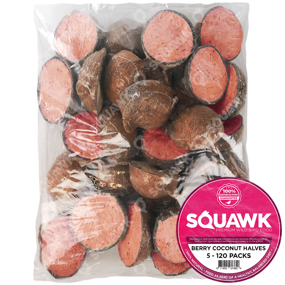 SQUAWK Berry Suet Filled Coconut Halves