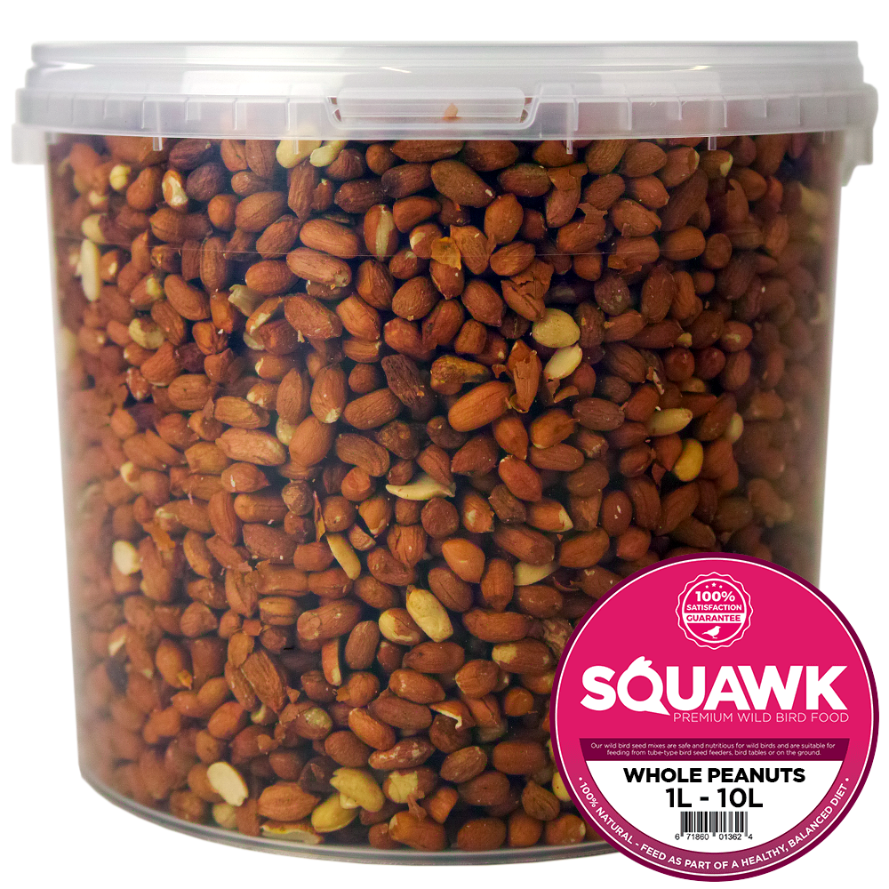 SQUAWK Whole Peanuts