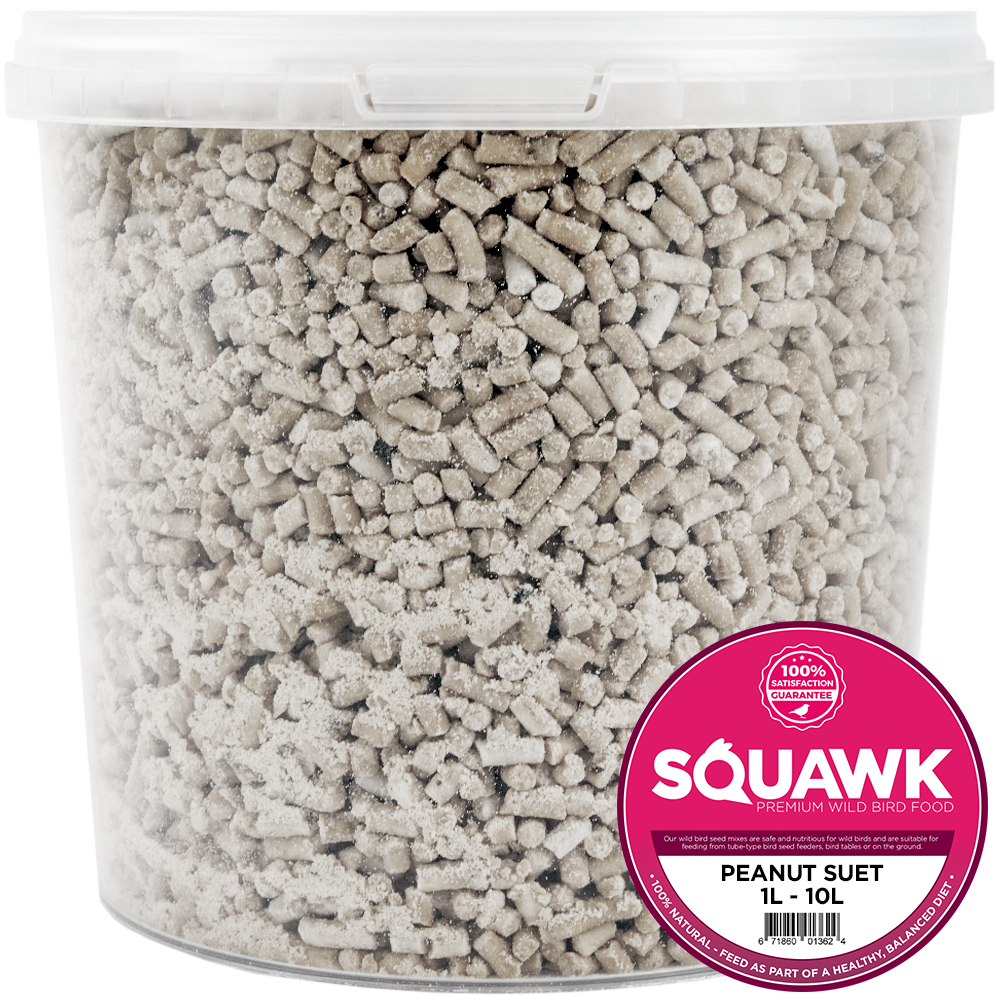 SQUAWK Peanut Suet Pellets