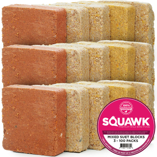 SQUAWK Suet Blocks