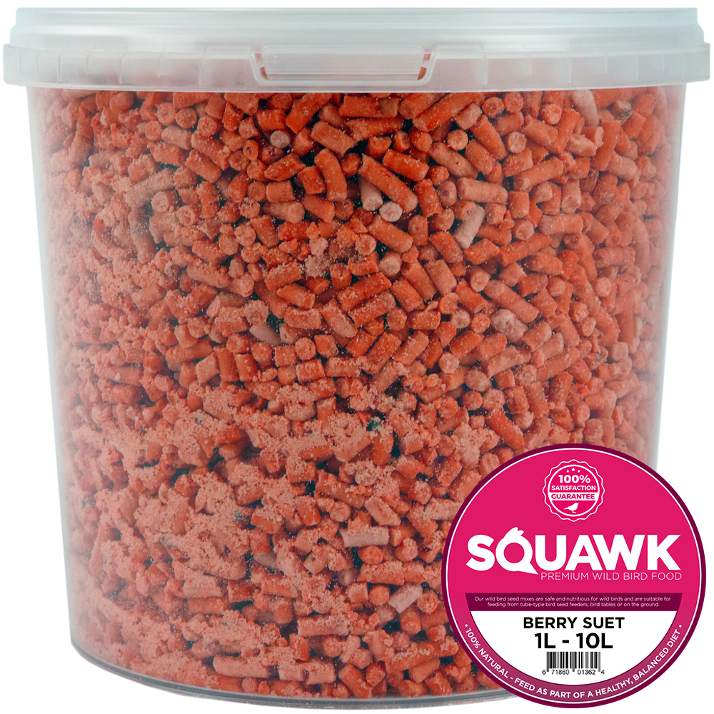 SQUAWK Berry Suet Pellets