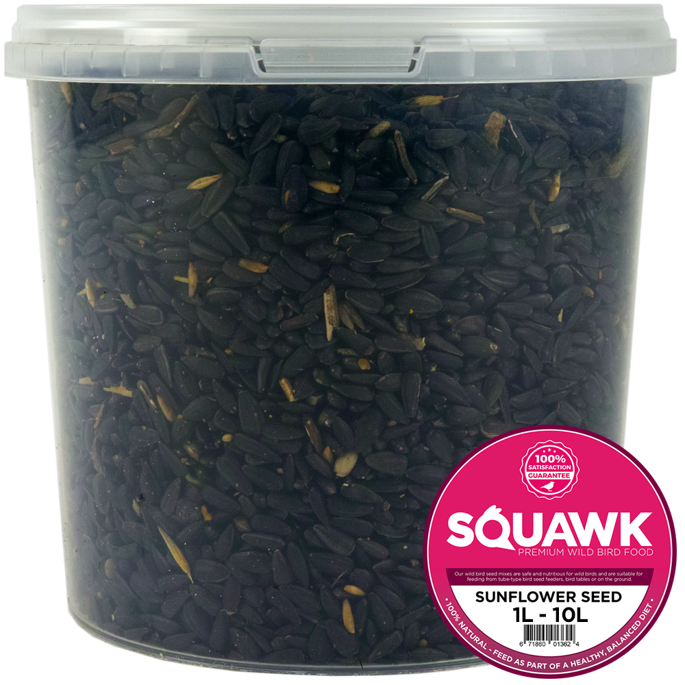 SQUAWK Black Oil Sunflower Seeds