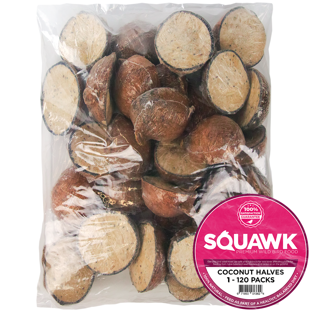 SQUAWK Suet Filled Coconut Halves