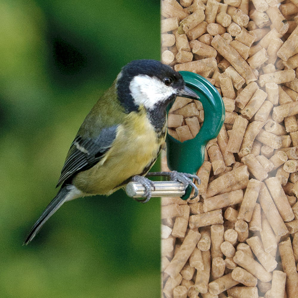 SQUAWK Mealworm Suet Pellets