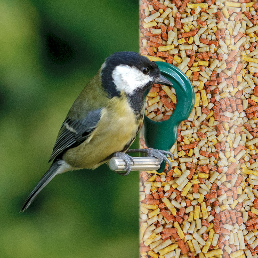 SQUAWK Mixed Suet Pellets