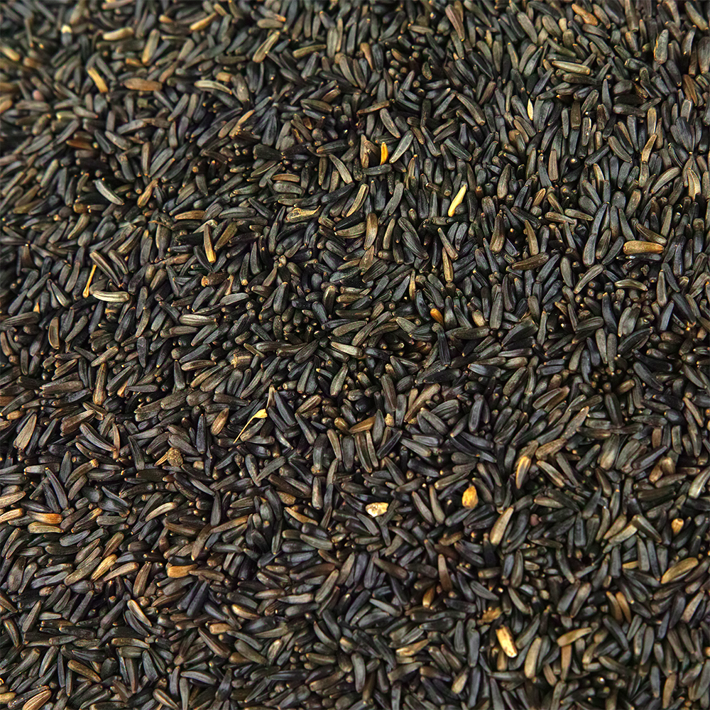 SQUAWK Niger Seeds