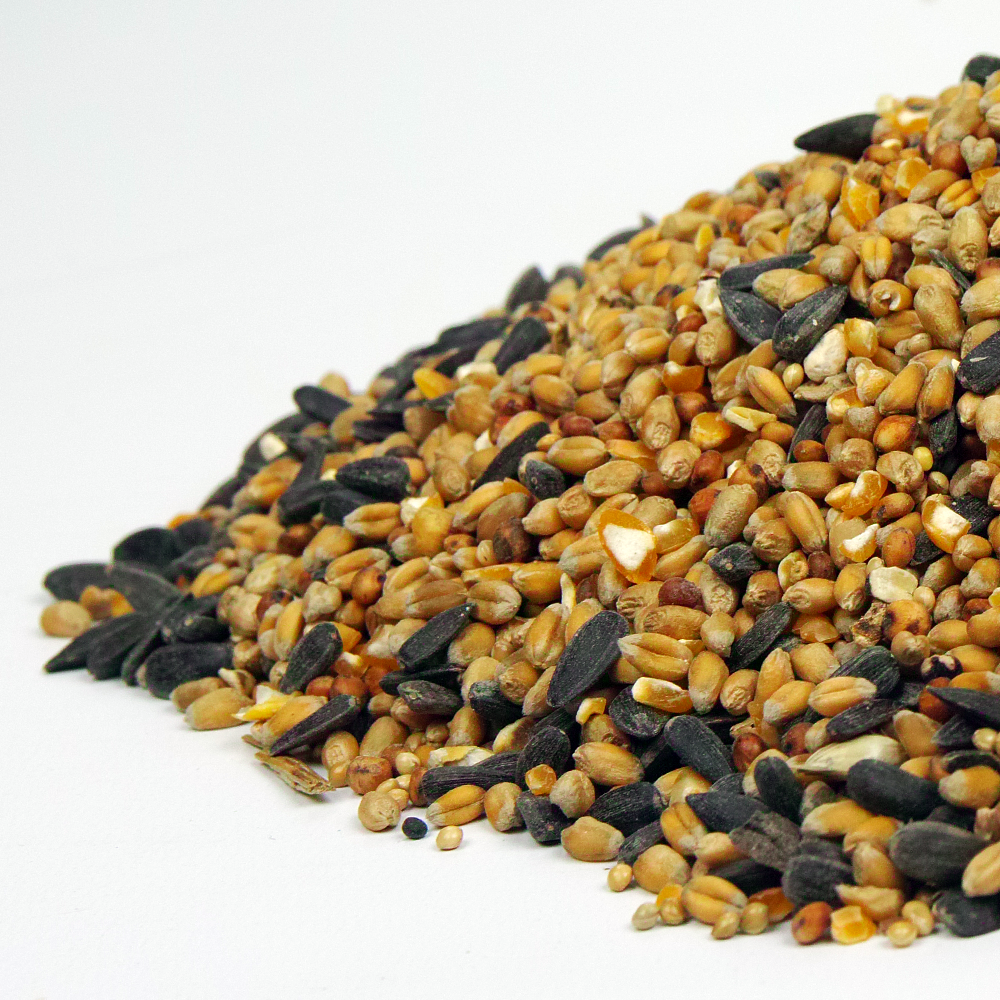 SQUAWK All Seasons Wild Bird Food Mix (Kilograms)