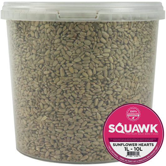 SQUAWK Sunflower Hearts