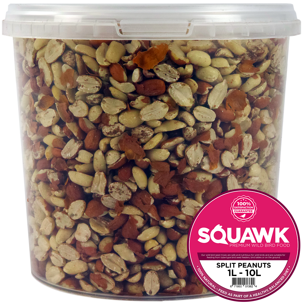 SQUAWK Split Peanuts