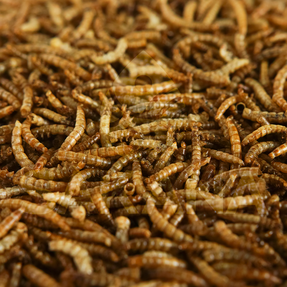 Sakana Dried Mealworm Fish Food