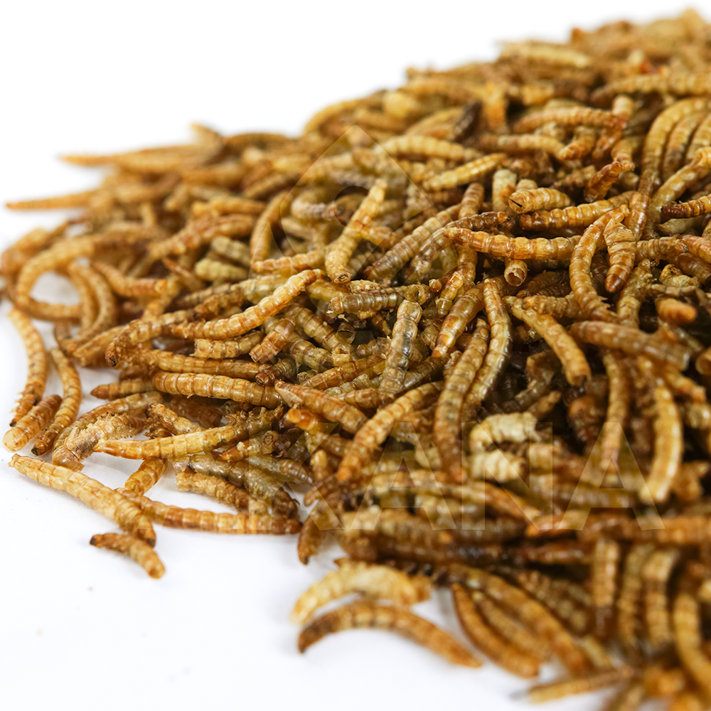 Sakana Dried Mealworm Fish Food