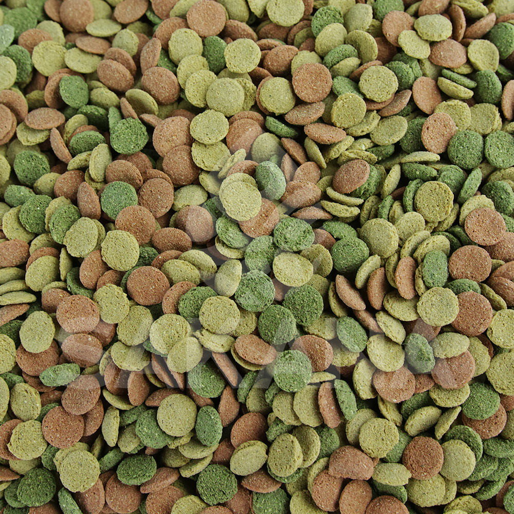 Sakana Small Fish Wafers Fish Food